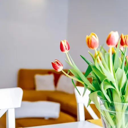 Cozy In The Downtown Győr