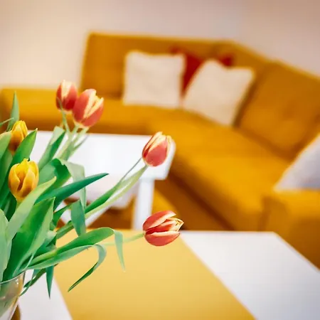 Cozy In The Downtown