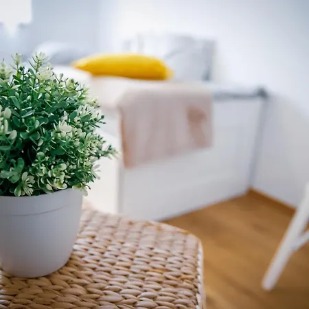 Cozy In The Downtown